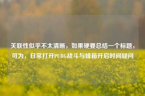 关联性似乎不太清晰，如果硬要总结一个标题，可为，日常打开PUBG战斗与蜂箱开启时间疑问