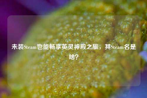 未装Steam也能畅享英灵神殿之旅，其Steam名是啥？