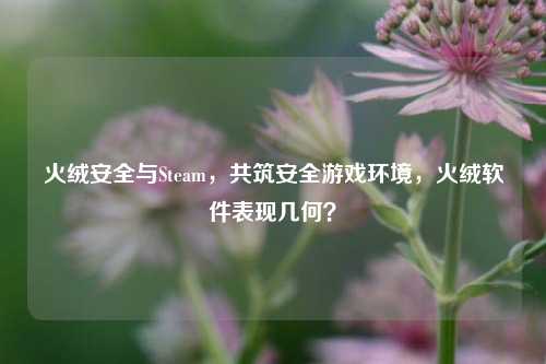 火绒安全与Steam，共筑安全游戏环境，火绒软件表现几何？
