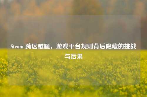 Steam 跨区难题，游戏平台规则背后隐藏的挑战与后果