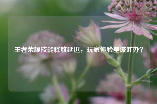 王者荣耀技能释放延迟，玩家体验差该咋办？