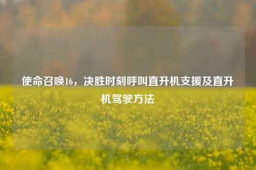 使命召唤16，决胜时刻呼叫直升机支援及直升机驾驶方法