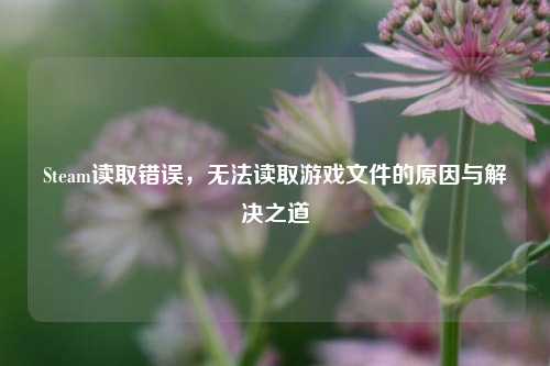 Steam读取错误，无法读取游戏文件的原因与解决之道