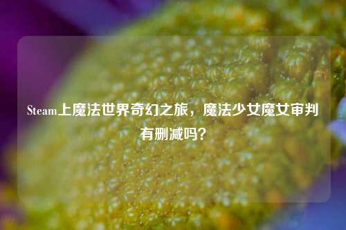 Steam上魔法世界奇幻之旅,魔法少女魔女审判有删减吗?