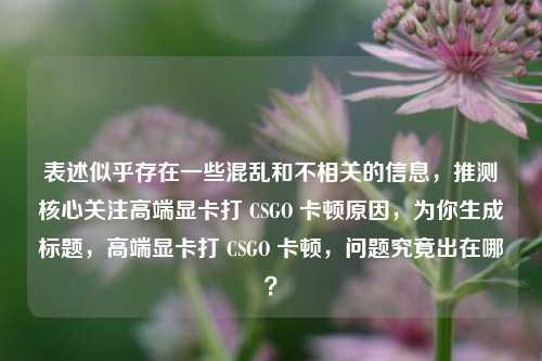 表述似乎存在一些混乱和不相关的信息，推测核心关注高端显卡打 CSGO 卡顿原因，为你生成标题，高端显卡打 CSGO 卡顿，问题究竟出在哪？