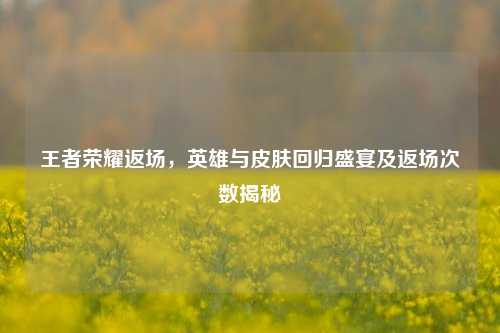 王者荣耀返场，英雄与皮肤回归盛宴及返场次数揭秘