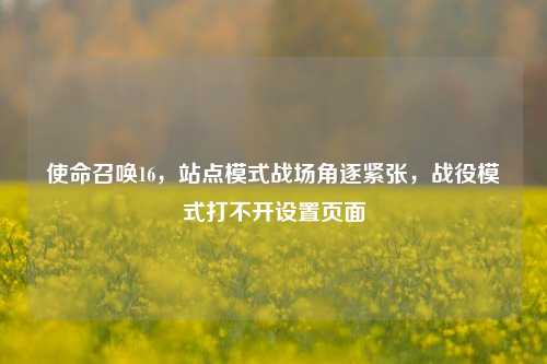 使命召唤16，站点模式战场角逐紧张，战役模式打不开设置页面