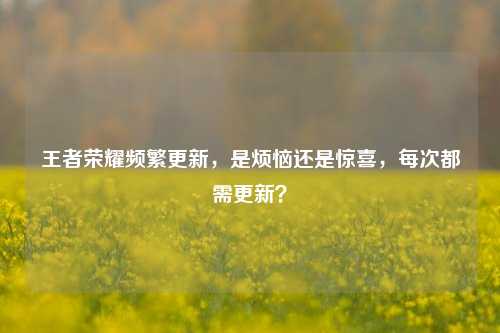 王者荣耀频繁更新，是烦恼还是惊喜，每次都需更新？