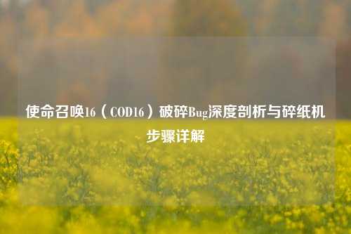 使命召唤16（COD16）破碎Bug深度剖析与碎纸机步骤详解