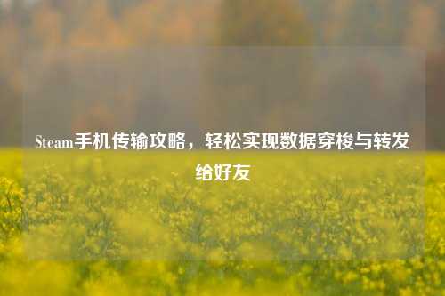 Steam手机传输攻略，轻松实现数据穿梭与转发给好友