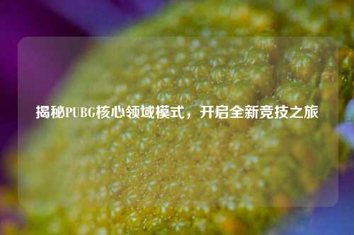 揭秘PUBG核心领域模式，开启全新竞技之旅