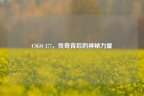 CSGO 377，传奇背后的神秘力量