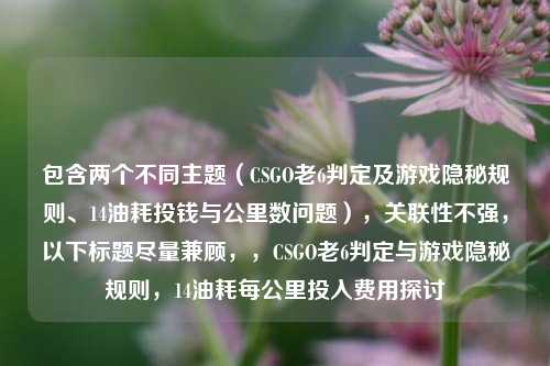 包含两个不同主题（CSGO老6判定及游戏隐秘规则、14油耗投钱与公里数问题），关联性不强，以下标题尽量兼顾，，CSGO老6判定与游戏隐秘规则，14油耗每公里投入费用探讨