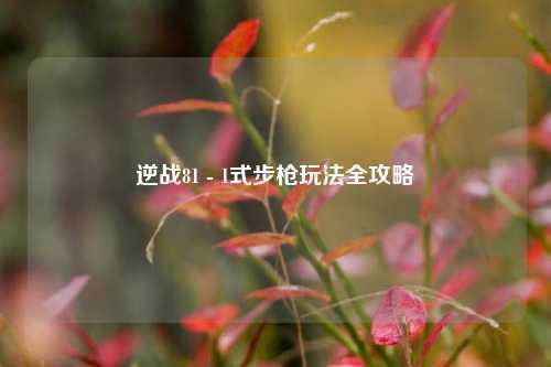 逆战81 - 1式步枪玩法全攻略