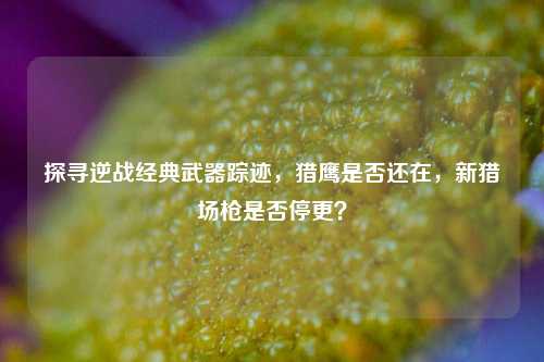 探寻逆战经典武器踪迹，猎鹰是否还在，新猎场枪是否停更？