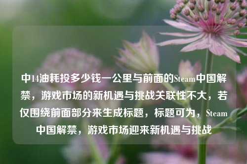 中14油耗投多少钱一公里与前面的Steam中国解禁，游戏市场的新机遇与挑战关联性不大，若仅围绕前面部分来生成标题，标题可为，Steam中国解禁，游戏市场迎来新机遇与挑战