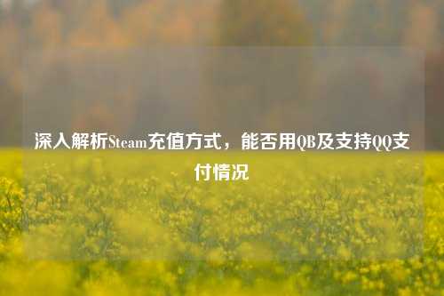 深入解析Steam充值方式,能否用QB及支持QQ支付情况