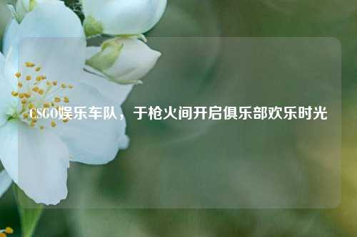 CSGO娱乐车队，于枪火间开启俱乐部欢乐时光