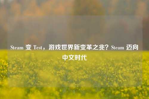 Steam 变 Test，游戏世界新变革之兆？Steam 迈向中文时代