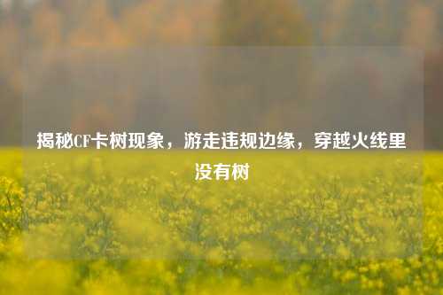 揭秘CF卡树现象，游走违规边缘，穿越火线里没有树