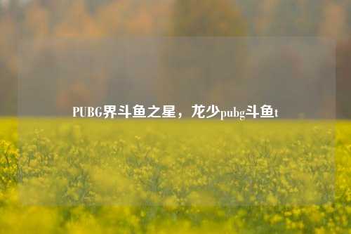 PUBG界斗鱼之星,龙少pubg斗鱼t