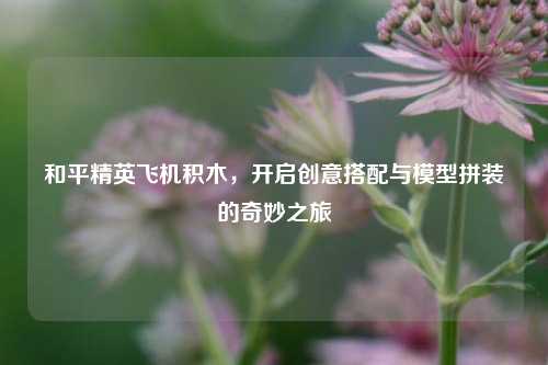和平精英飞机积木，开启创意搭配与模型拼装的奇妙之旅