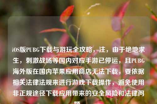 iOS版PUBG下载与游玩全攻略，注，由于绝地求生，刺激战场等国内对应手游已停运，且PUBG海外版在国内苹果应用商店无法下载，要依据相关法律法规来进行游戏下载操作，避免使用非正规途径下载应用带来的安全风险和法律问题。