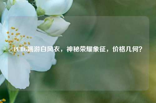 PUBG端游白风衣，神秘荣耀象征，价格几何？