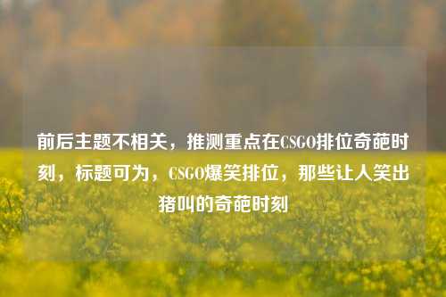 前后主题不相关，推测重点在CSGO排位奇葩时刻，标题可为，CSGO爆笑排位，那些让人笑出猪叫的奇葩时刻