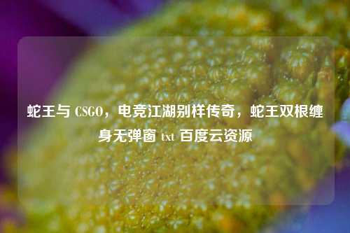 蛇王与 CSGO，电竞江湖别样传奇，蛇王双根缠身无弹窗 txt 百度云资源