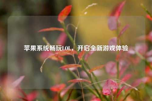 苹果系统畅玩LOL，开启全新游戏体验