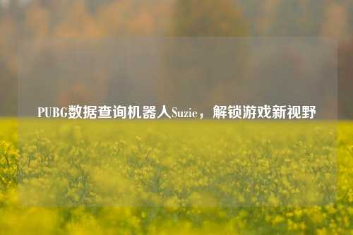 PUBG数据查询机器人Suzie，解锁游戏新视野