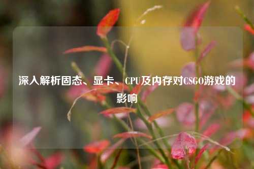 深入解析固态、显卡、CPU及内存对CSGO游戏的影响