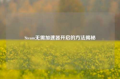 Steam无需加速器开启的方法揭秘