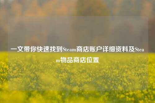 一文带你快速找到Steam商店账户详细资料及Steam物品商店位置