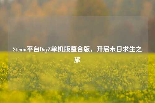 Steam平台DayZ单机版整合版，开启末日求生之旅