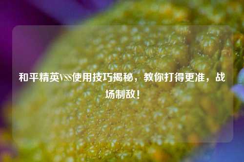 和平精英VSS使用技巧揭秘,教你打得更准,战场制敌!