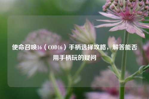 使命召唤16（COD16）手柄选择攻略，解答能否用手柄玩的疑问