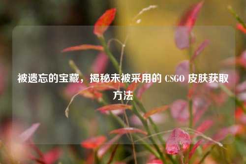 被遗忘的宝藏，揭秘未被采用的 CSGO 皮肤获取方法
