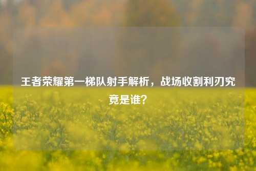 王者荣耀第一梯队射手解析，战场收割利刃究竟是谁？