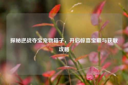 探秘逆战夺宝宠物箱子，开启惊喜宝藏与获取攻略