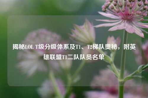 揭秘LOL T级分级体系及T1、T2梯队奥秘,附英雄联盟T1二队队员名单