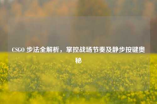 CSGO 步法全解析,掌控战场节奏及静步按键奥秘