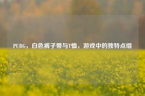 PUBG，白色裤子带与T恤，游戏中的独特点缀
