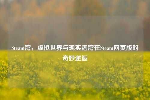 Steam湾，虚拟世界与现实港湾在Steam网页版的奇妙邂逅