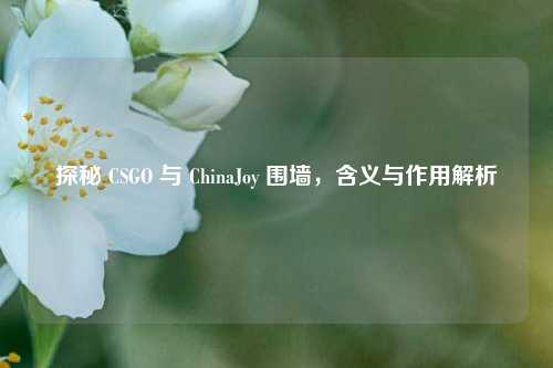 探秘 CSGO 与 ChinaJoy 围墙，含义与作用解析