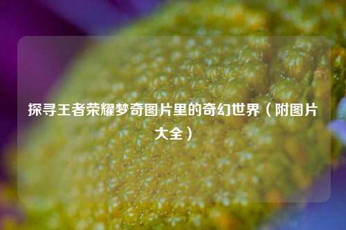探寻王者荣耀梦奇图片里的奇幻世界（附图片大全）