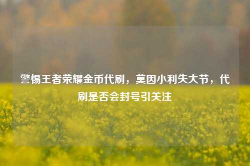警惕王者荣耀金币代刷，莫因小利失大节，代刷是否会封号引关注