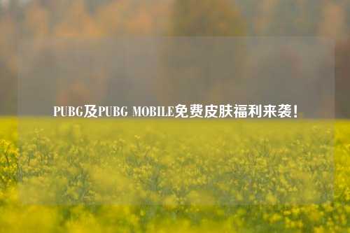 PUBG及PUBG MOBILE免费皮肤福利来袭!