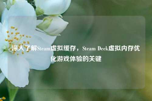 深入了解Steam虚拟缓存，Steam Deck虚拟内存优化游戏体验的关键